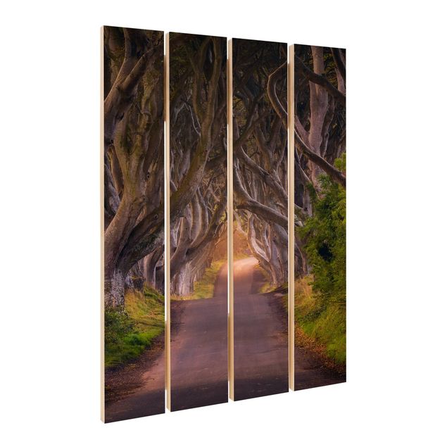 Holzbild - Tunnel aus Bäumen - Hochformat 3:2