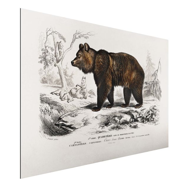 Tavlor björnar Vintage Board Brown Bear