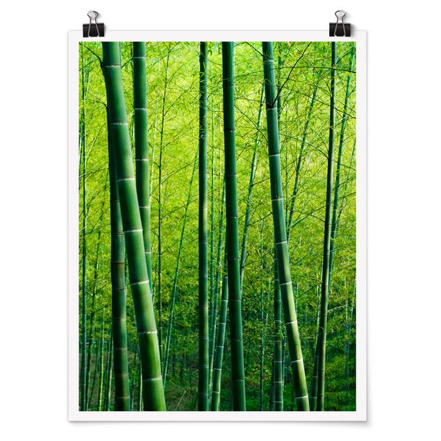 Tavlor landskap Bamboo Forest