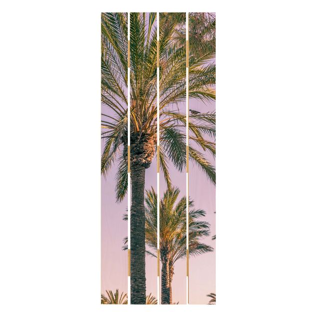 Tavlor Uwe Merkel Palm Trees At Sunset