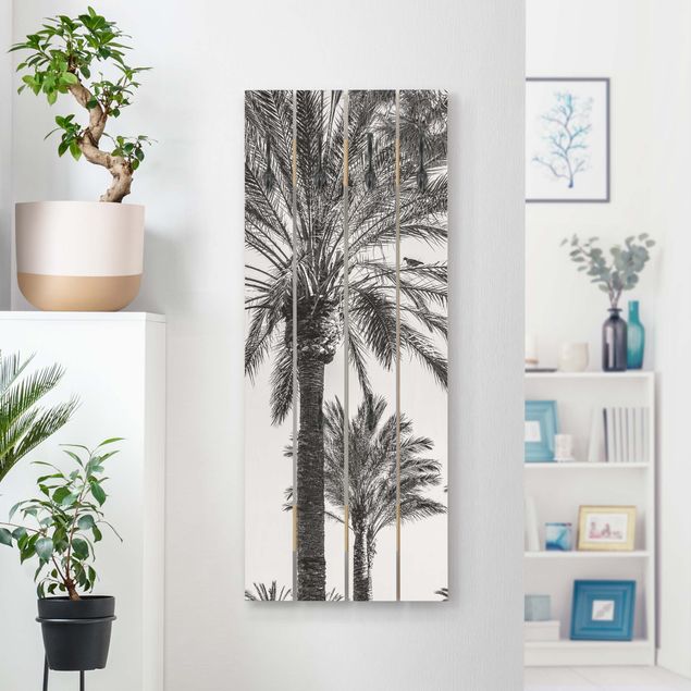 Klädhängare vägg blommor  Palm Trees At Sunset Black And White