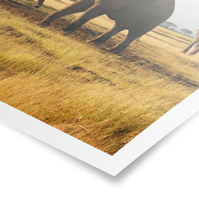 Posters landskap Elephants In Front Of The Kilimanjaro In Kenya