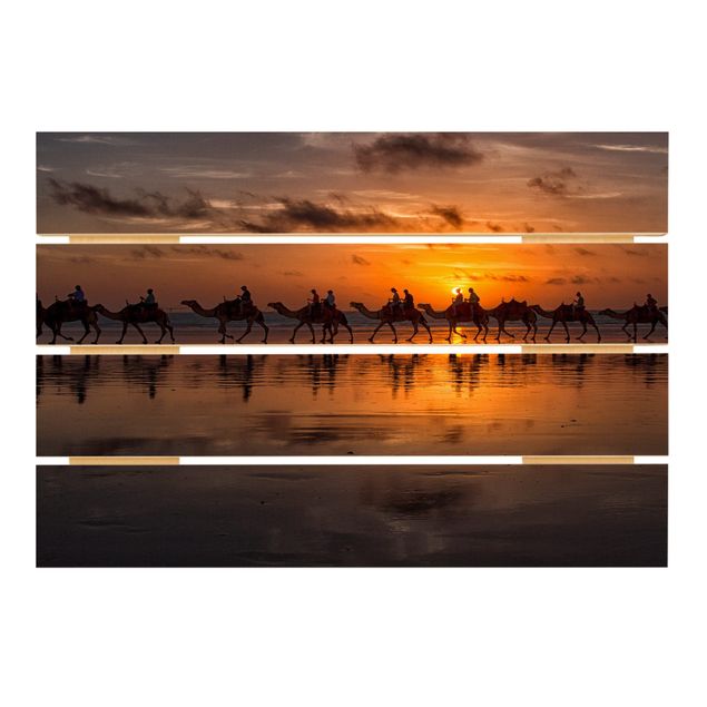 Trätavlor Camel Safari