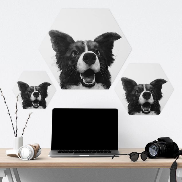 Hexagonala tavlor Illustration Dog Border Collie Black And White Painting