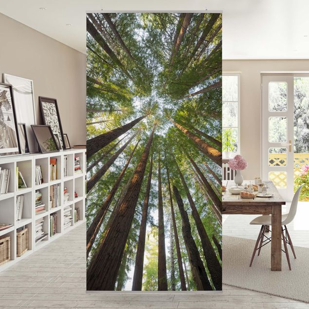 Kök dekoration Sequoia Tree Tops