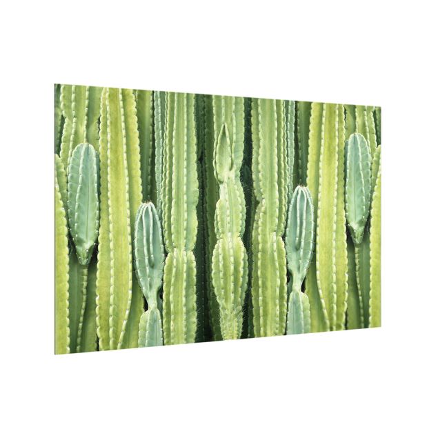 glasskivor kök Cactus Wall