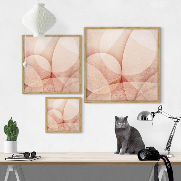 Tavlor rosa Abstract Graphics In Peach-Colour