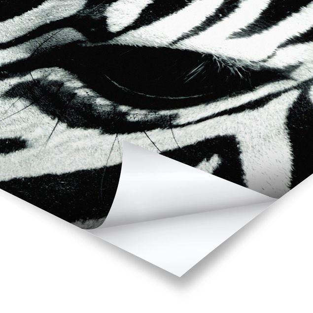 Tavlor svart och vitt Zebra Crossing