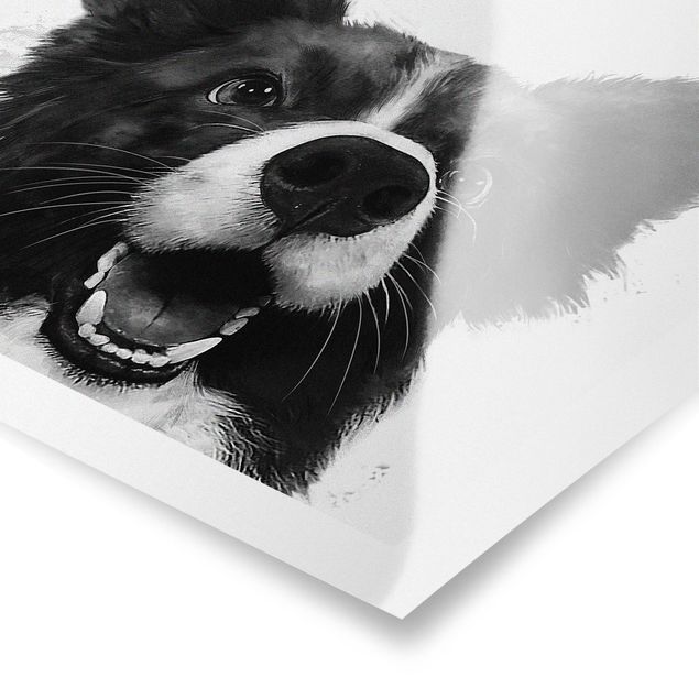 Tavlor svart och vitt Illustration Dog Border Collie Black And White Painting