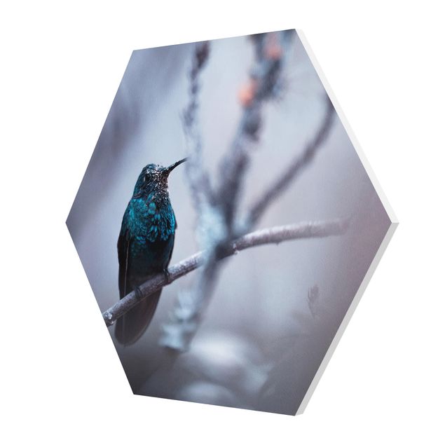 Tavlor Hummingbird In Winter