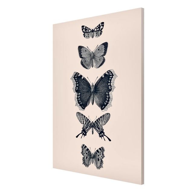 Magnettavla djur Ink Butterflies On Beige Backdrop