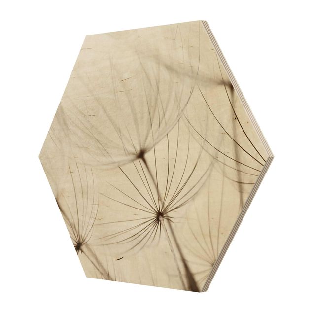 Hexagon Bild Holz - Sanfte Gräser