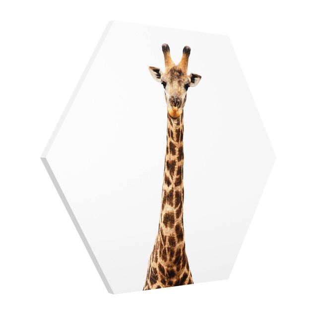 Tavlor djur Giraffe head