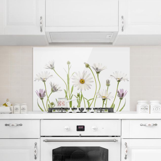 Stänkskydd kök glas blommor  Cape - Daisy