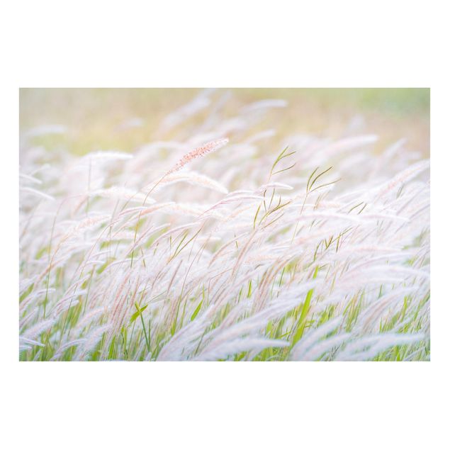 Magnettavla blommor  Soft Grasses