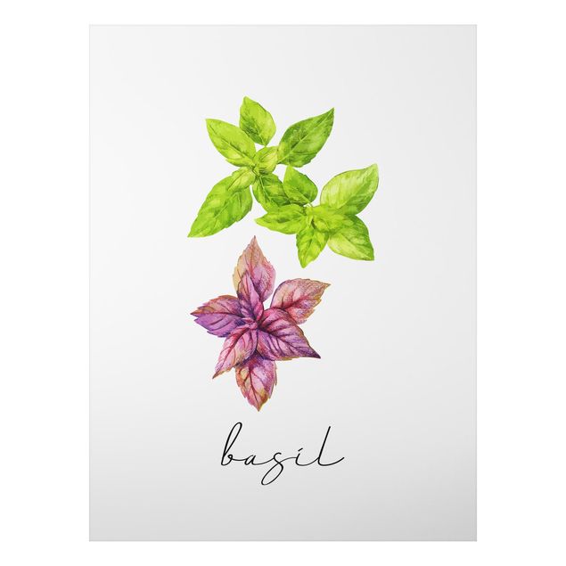 Tavlor kryddor Herbs Illustration Basil