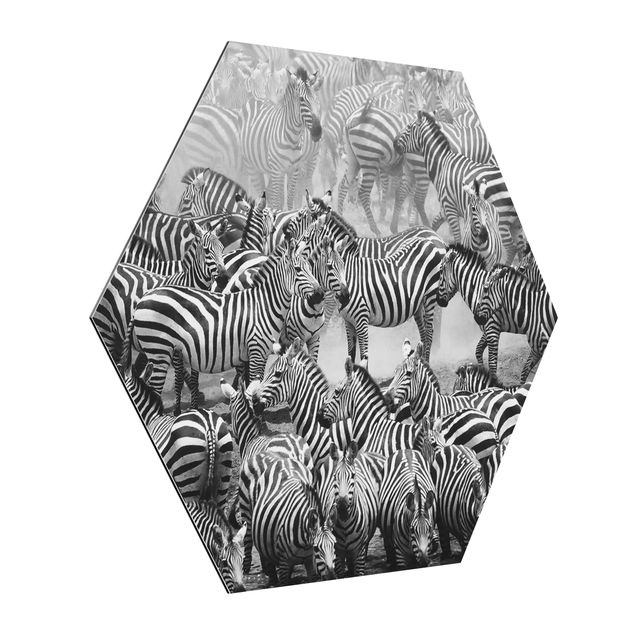 Tavlor modernt Zebra herd II