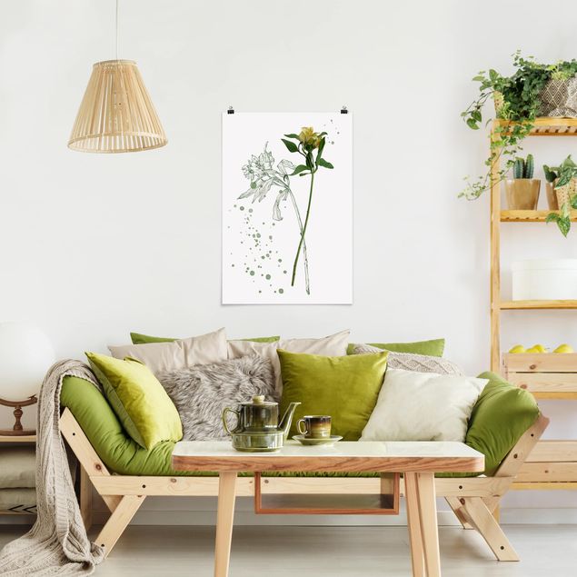 Posters blommor  Botanical Watercolour - Lily