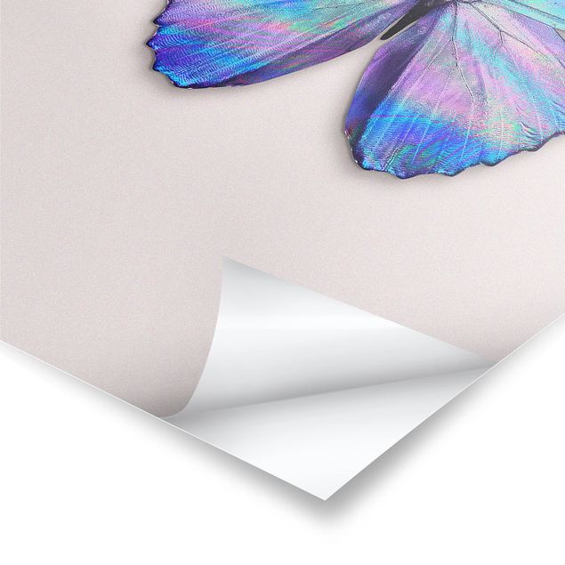 Tavlor Jonas Loose Holographic Butterfly