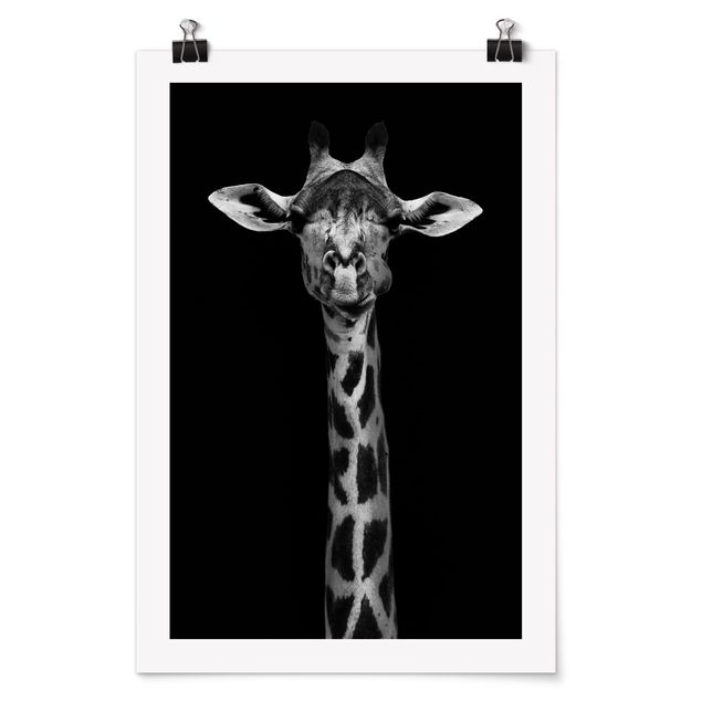 Posters djur Dark Giraffe Portrait