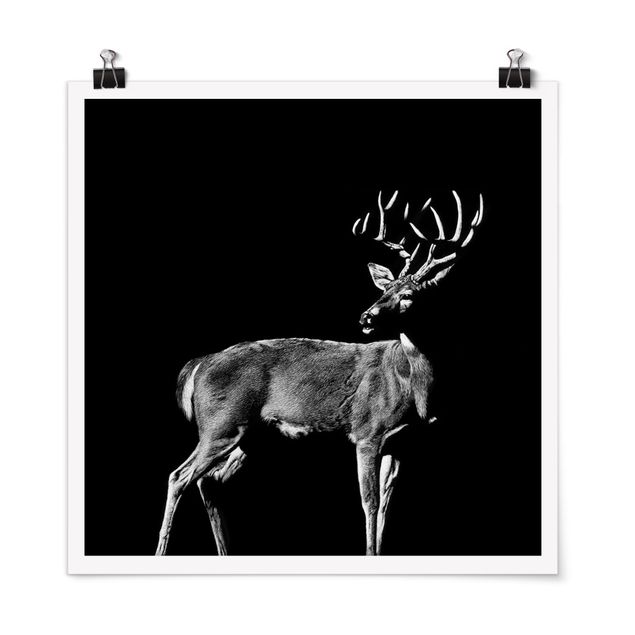Posters svart och vitt Deer In The Dark