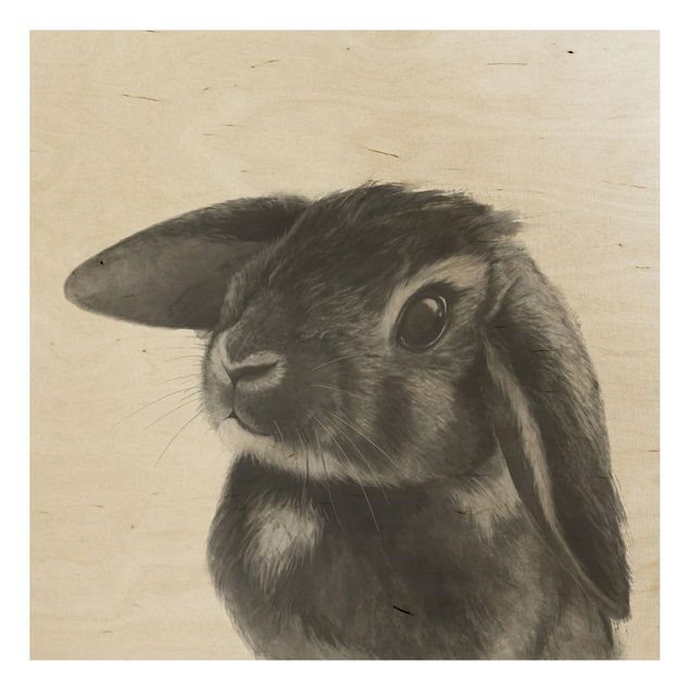 Tavlor Illustration Rabbit Black And White Drawing
