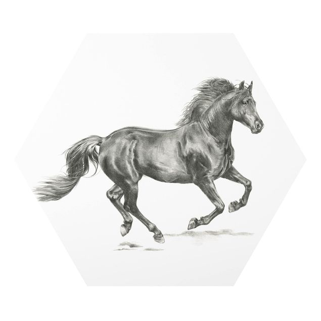 Tavlor svart och vitt Wild Horse Trial - Stallion