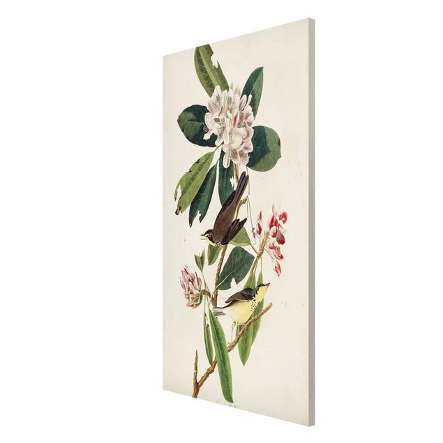 Tavlor blommor Vintage Board Warbler