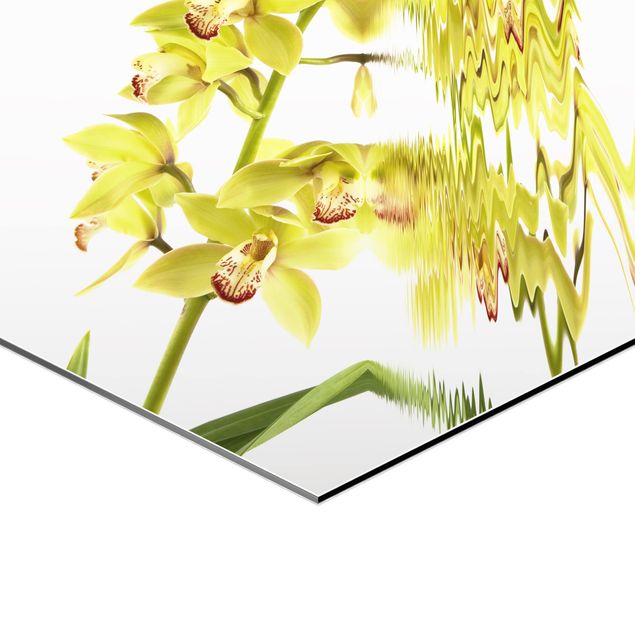 Hexagonala tavlor Elegant Orchid Waters