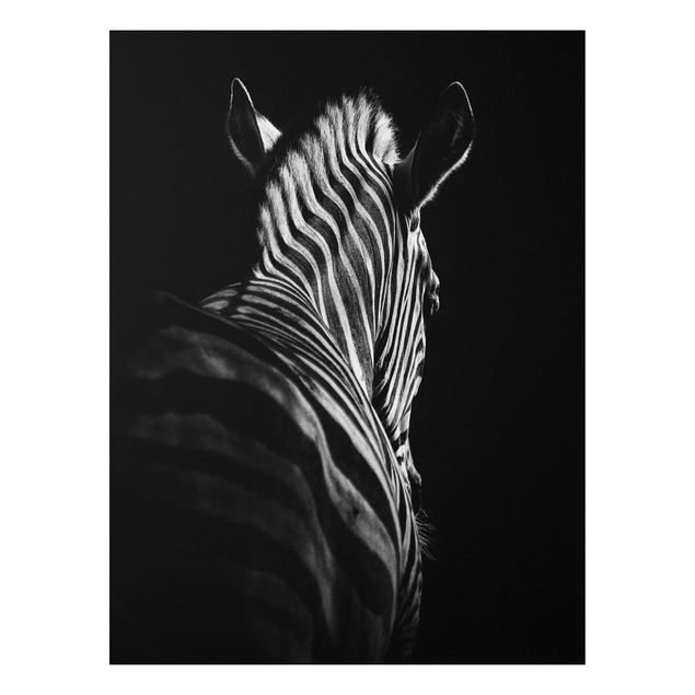 Tavlor zebror Dark Zebra Silhouette