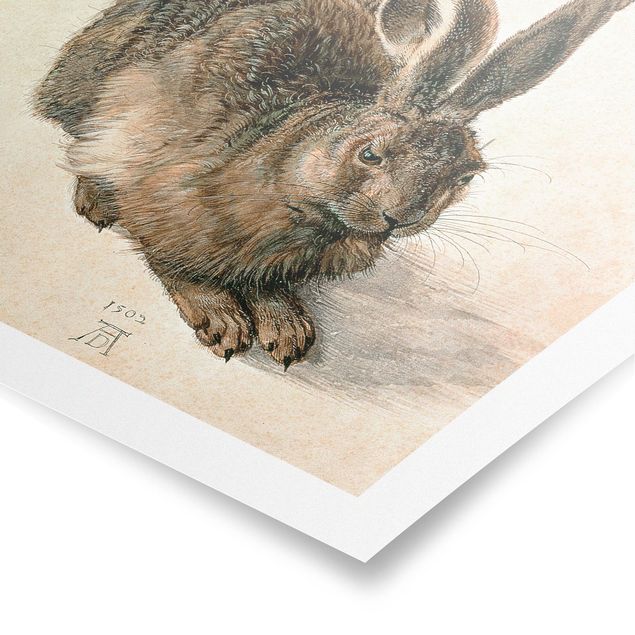Posters konstutskrifter Albrecht Dürer - Young Hare