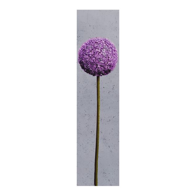 Panelgardiner blommor  Allium Round-Headed Flower