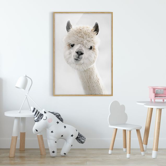 Tavlor med ram djur Alpaca Portrait