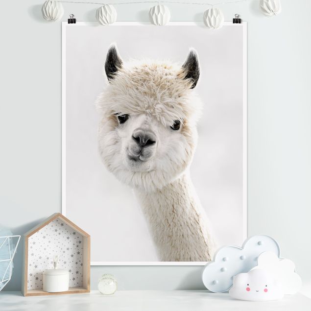 Kök dekoration Alpaca Portrait