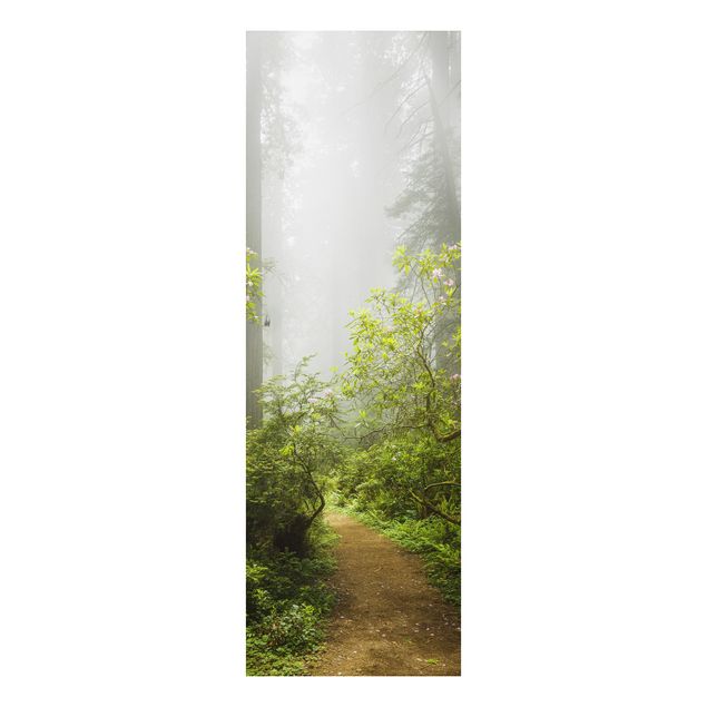 Tavlor träd Misty Forest Path