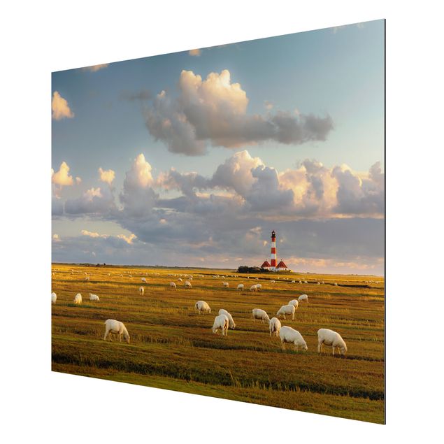 Tavlor stränder North Sea Lighthouse With Flock Of Sheep