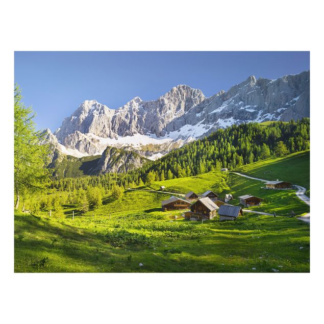 Tavlor bergen Styria Alpine Meadow