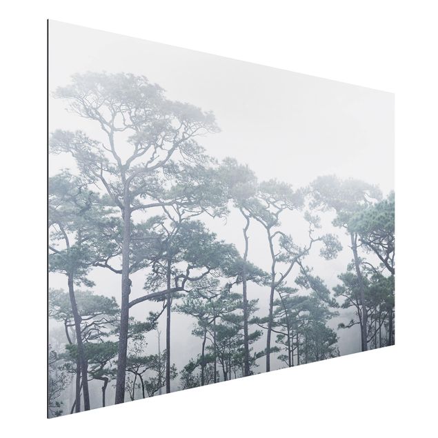 Kök dekoration Treetops In Fog