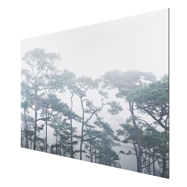 Tavlor landskap Treetops In Fog