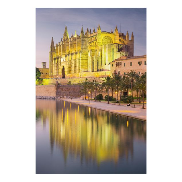 Tavlor katter Catedral De Mallorca Water Reflection