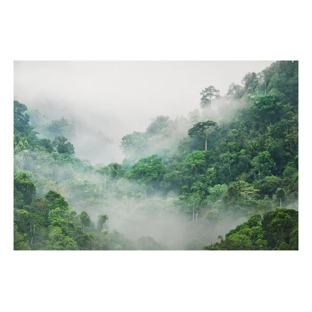 Tavlor träd Jungle In The Fog