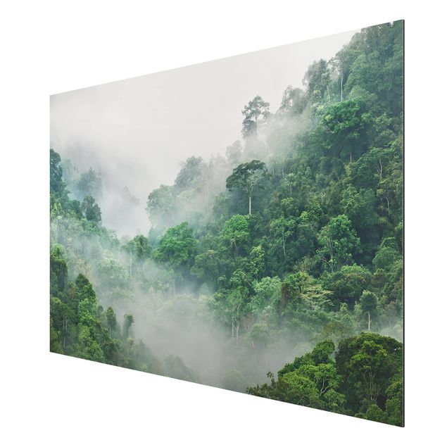Tavlor landskap Jungle In The Fog