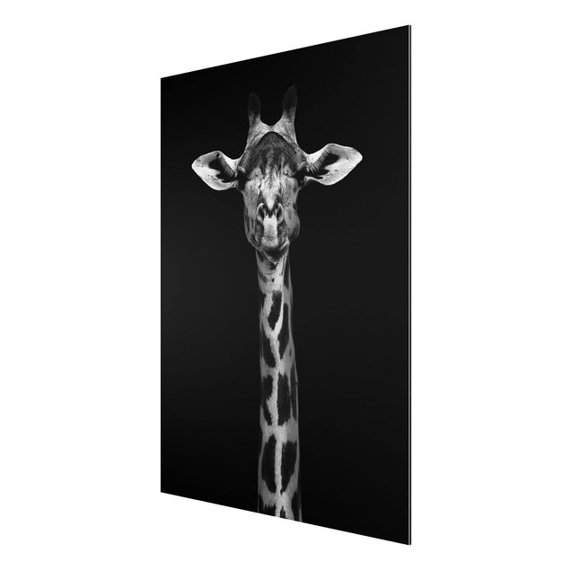 Tavlor Afrika Dark Giraffe Portrait