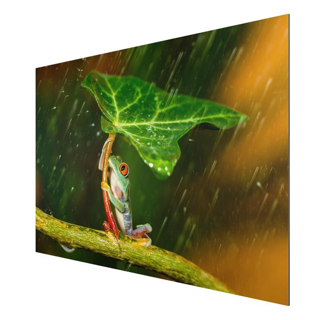 Tavlor blommor  Frog In The Rain