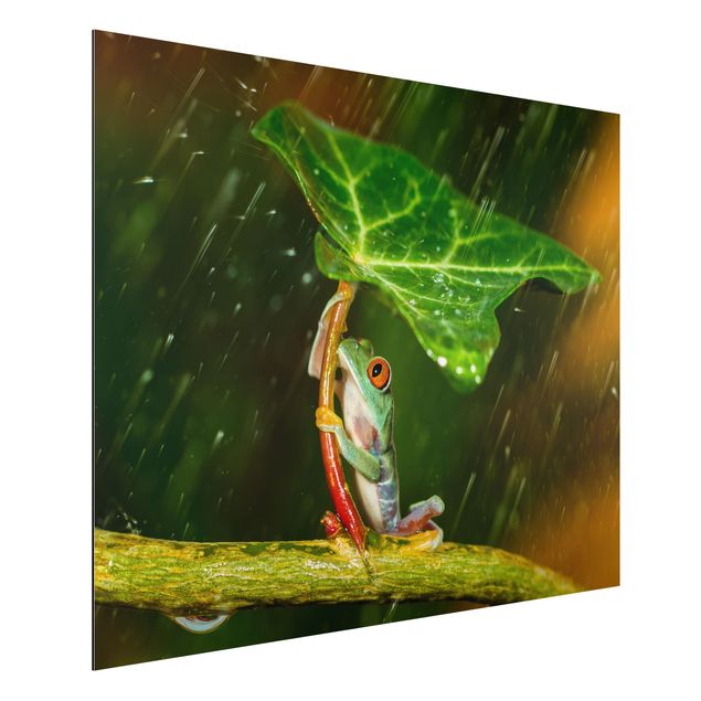 Tavlor blommor Frog In The Rain