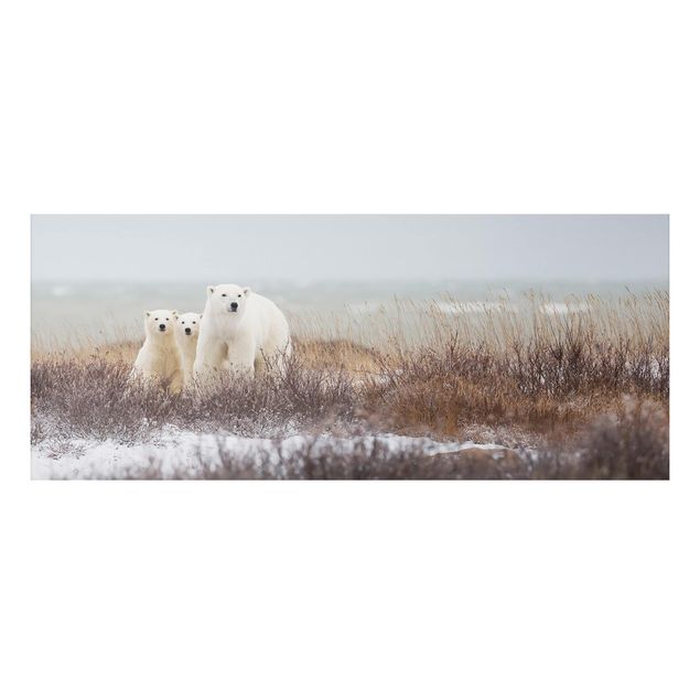 Tavlor björnar Polar Bear And Her Cubs