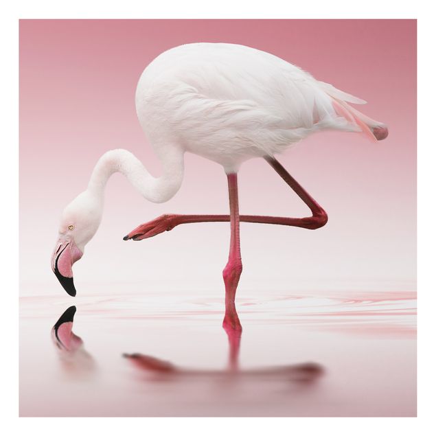 Tavlor fjädrar Flamingo Dance