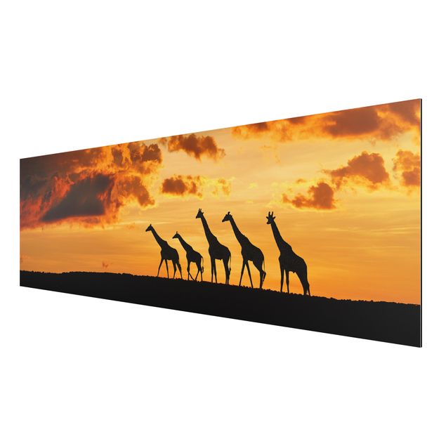 Tavlor landskap Five Giraffes