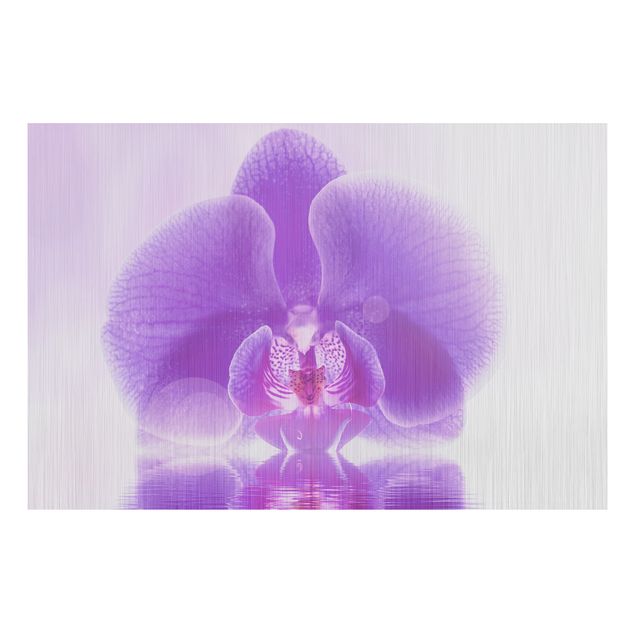 Kök dekoration Purple Orchid On Water