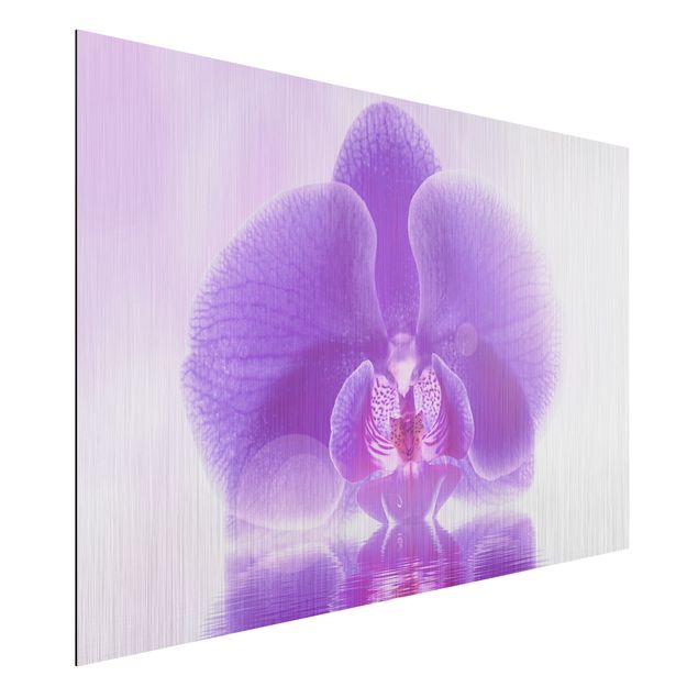 Tavlor orkidéer Purple Orchid On Water